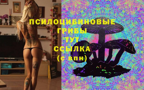 PSILOCYBIN Беломорск