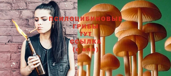 молекула духа Белокуриха