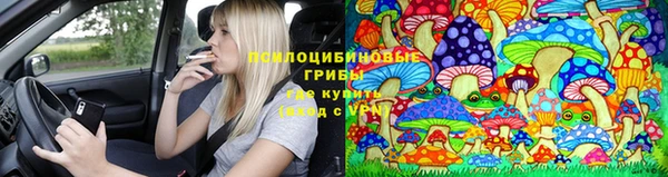 PSILOCYBIN Беломорск