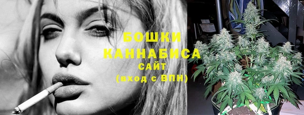 молекула духа Белокуриха