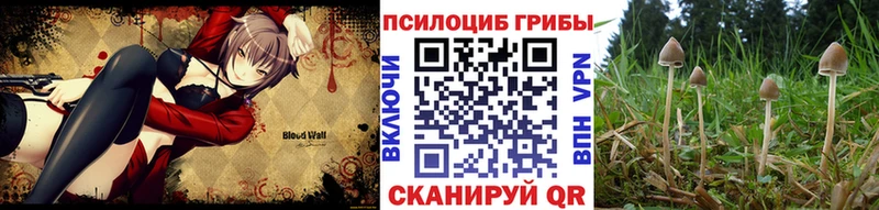 Галлюциногенные грибы прущие грибы  где найти наркотики  Гороховец 