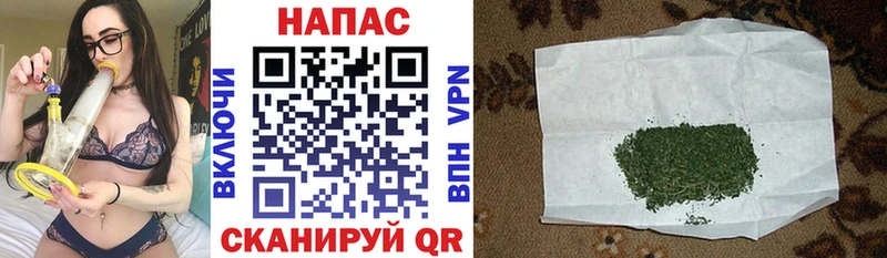 МАРИХУАНА SATIVA & INDICA  где можно купить   Гороховец 